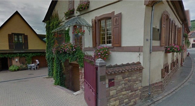 Production viticole 1