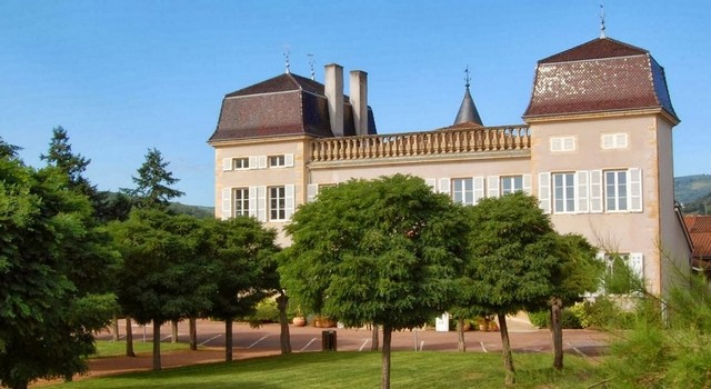 Production viticole 2